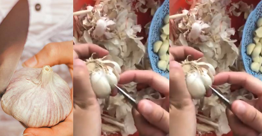 garlic4 garlic4