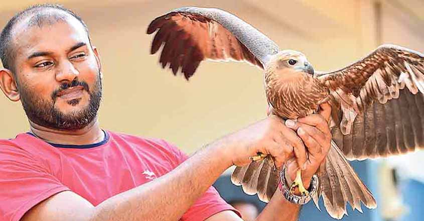 aabid-eagle aabid-eagle
