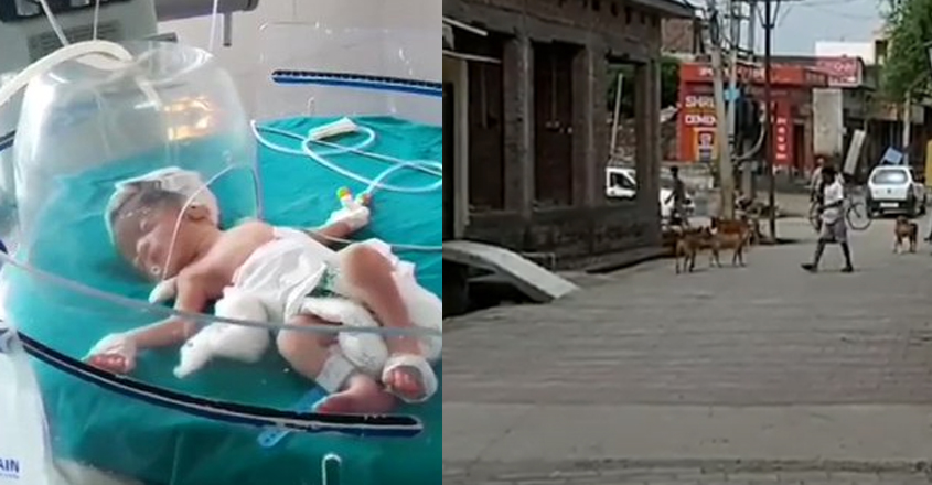 doga-saved-baby doga-saved-baby