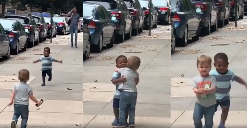 boy's-affection boy's-affection