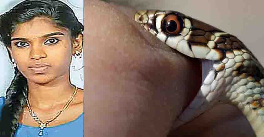 snake-bite1 snake-bite1