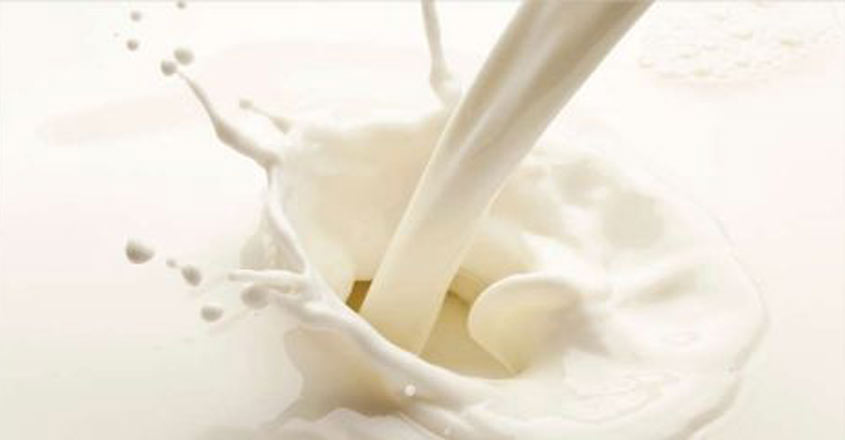 milk-templee milk-templee