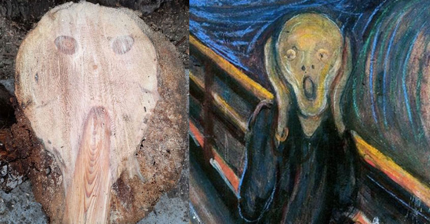 alien-wood alien-wood