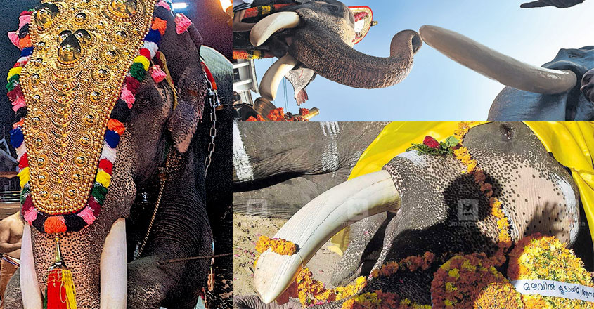 guruvayur-padmanabhan-last