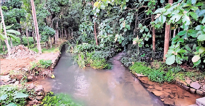 thod-kottayam thod-kottayam