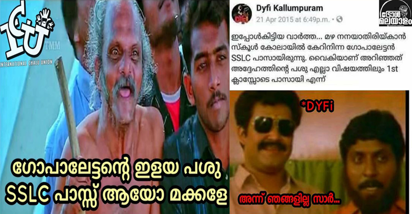 dyfi-troll dyfi-troll
