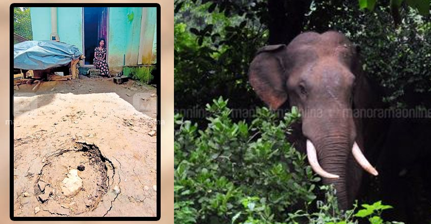 wild-elephant-attack-