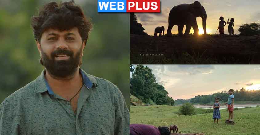 elephant-story elephant-story