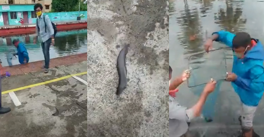 fishing-ernakulam fishing-ernakulam