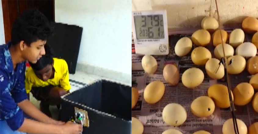 students-hatchery students-hatchery