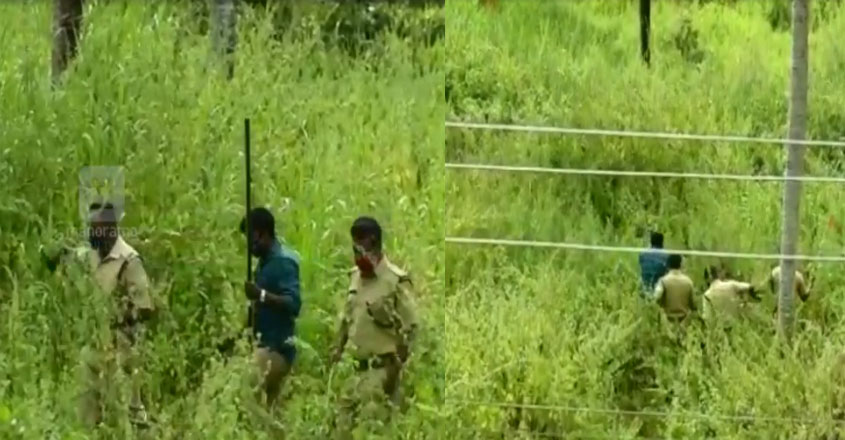 bear-kollam bear-kollam