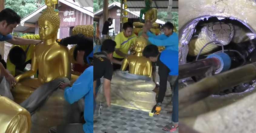 snake-temple-video snake-temple-video