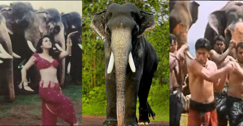 mangalamkunnu-karnan-and-films