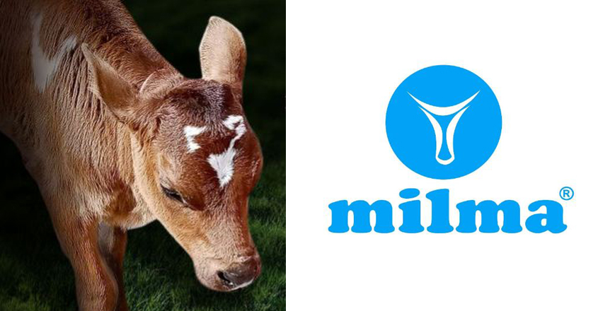 milma-16 milma-16