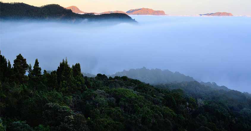pic-of-munnar pic-of-munnar