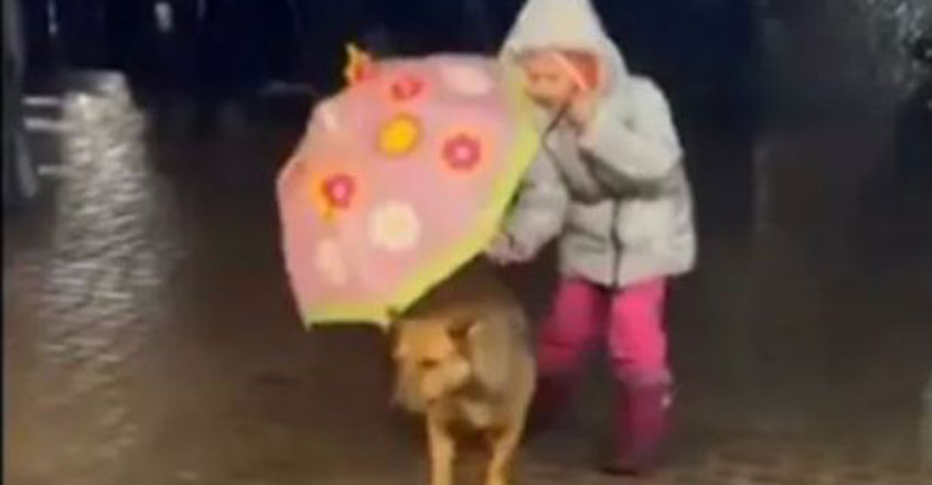 dog-girl dog-girl