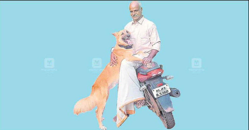 dog-chottu dog-chottu