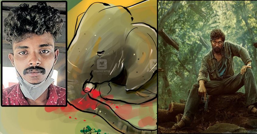 elephant-hunt elephant-hunt