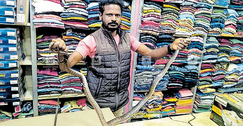 cloth-shop-snake