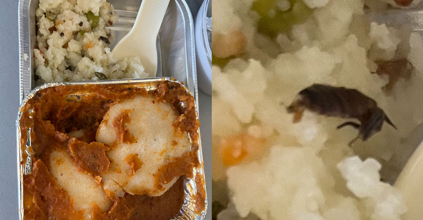 flight-food