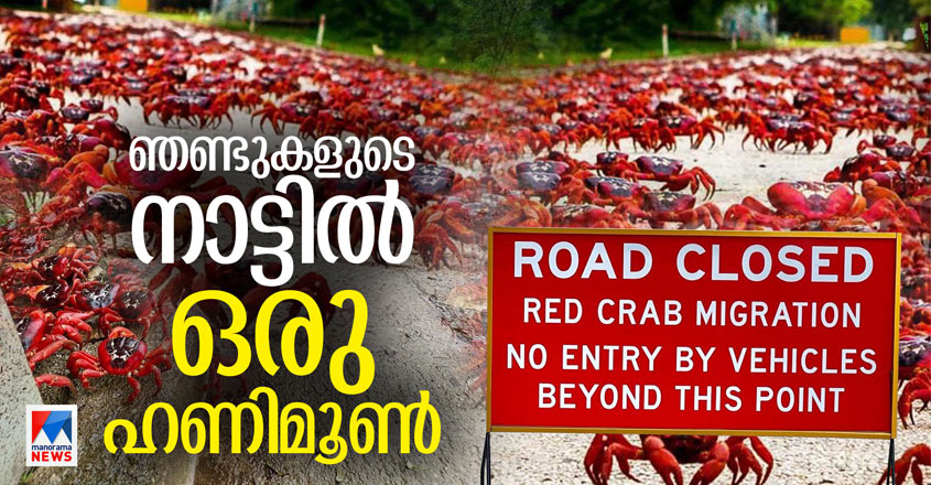 red-crab-yathra