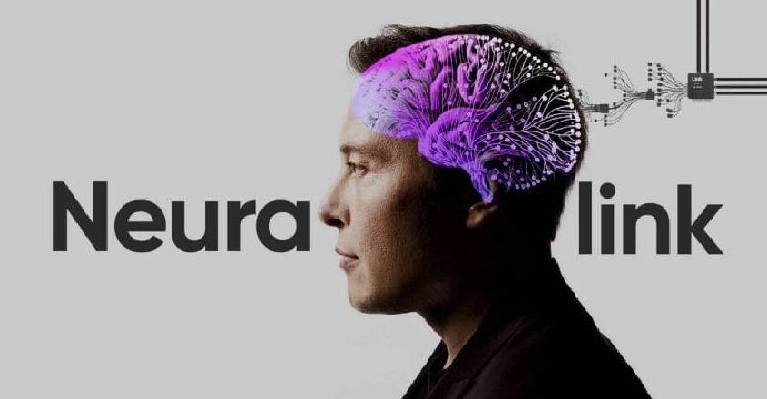 musk musk