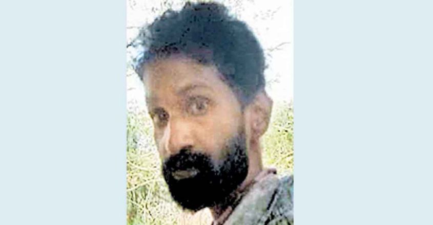 ‘Two nights above the tree;  He kept alive by drinking water from the river  cheruthoni |  idukki |  forest |  jomon joseph |  manoramanews