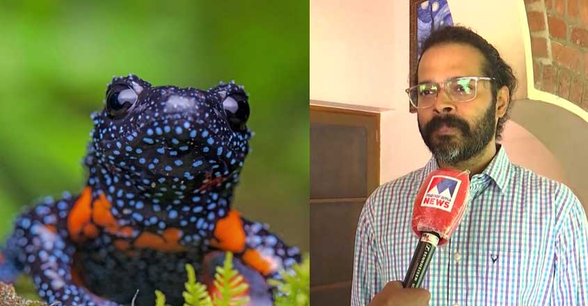 sandeepfrog-06