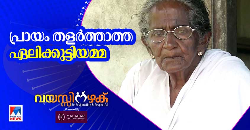 Vayasinazhaku-HD-Thumb-elikuttyamma