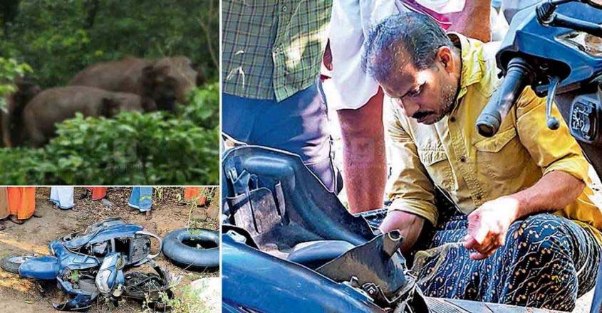 wild-elephant-attack