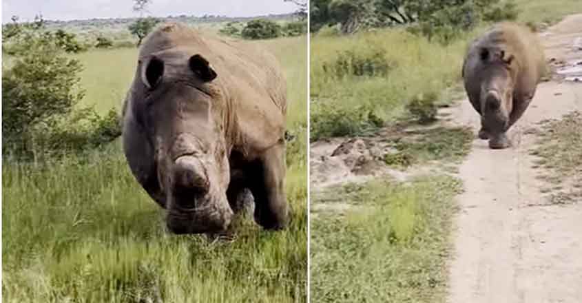 ചിത്രം: Instagram