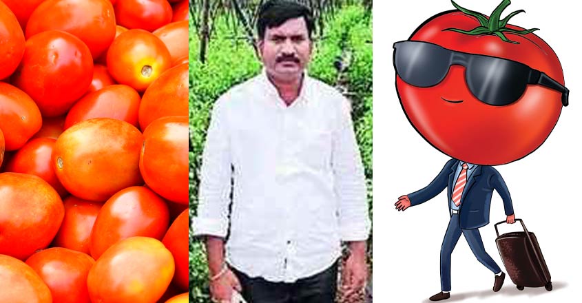 tomato-farmer tomato-farmer