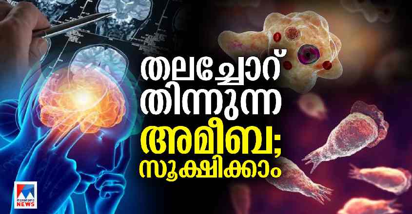 naegleriafowleriexplainer0807