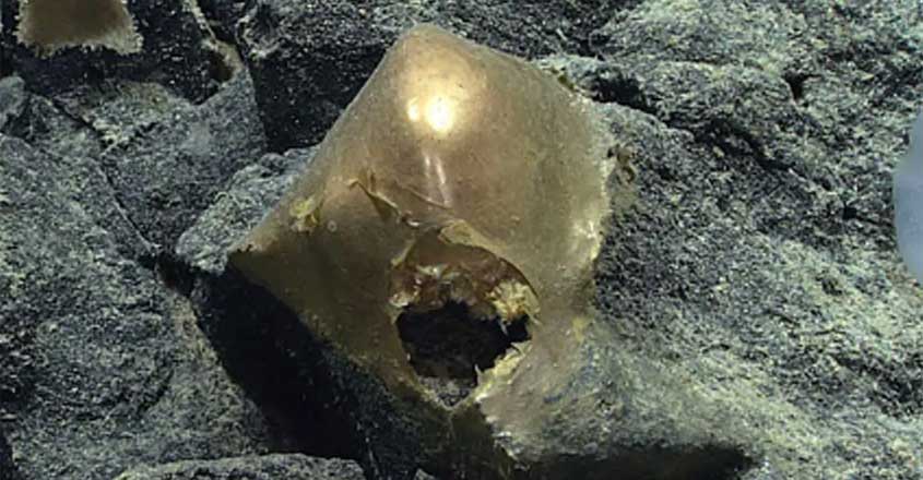 ചിത്രം: X