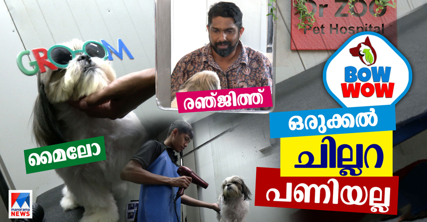 dr-zoo-pets-hospital