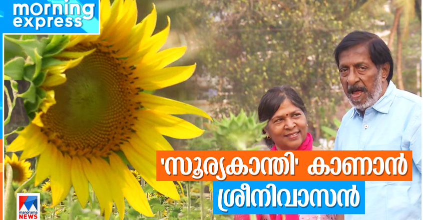 srinivasan-came-to-see-the-sunflowers