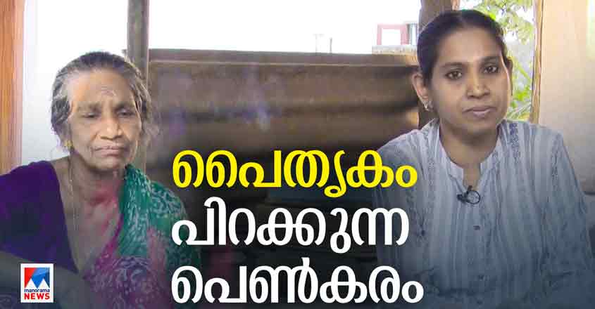 Sp-HD-2024-aranmulaMirror