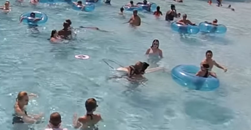 lifeguard lifeguard