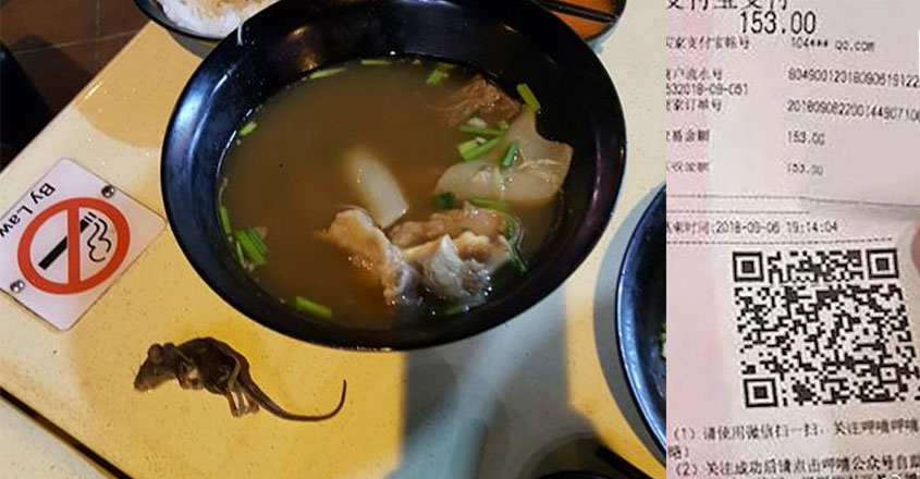 soup-china soup-china