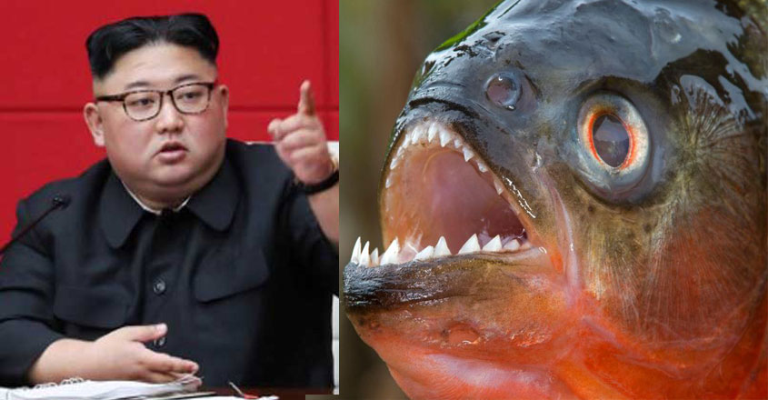 kim-jong-un kim-jong-un
