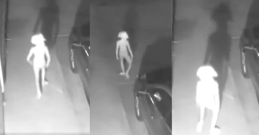 elf-cctv elf-cctv