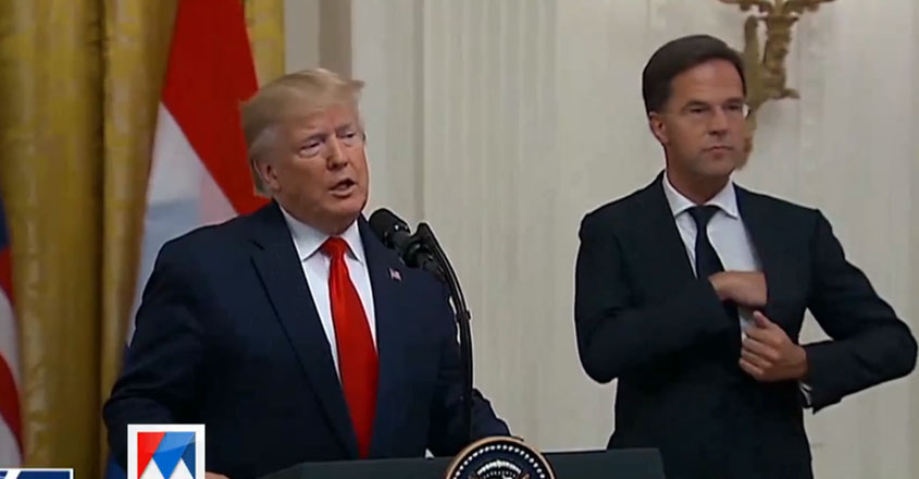 trump19 trump19