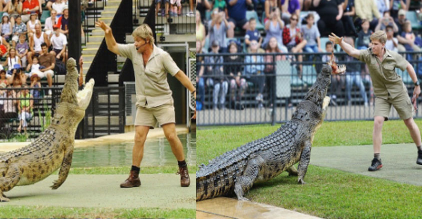 robert-irwin robert-irwin