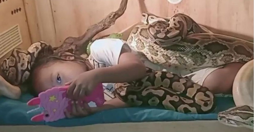 python-girl python-girl