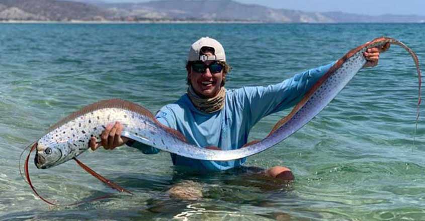 california-fish california-fish