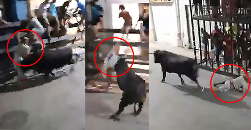 bull-skewing bull-skewing