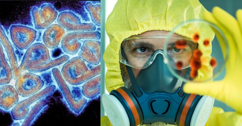 chapare-virus chapare-virus
