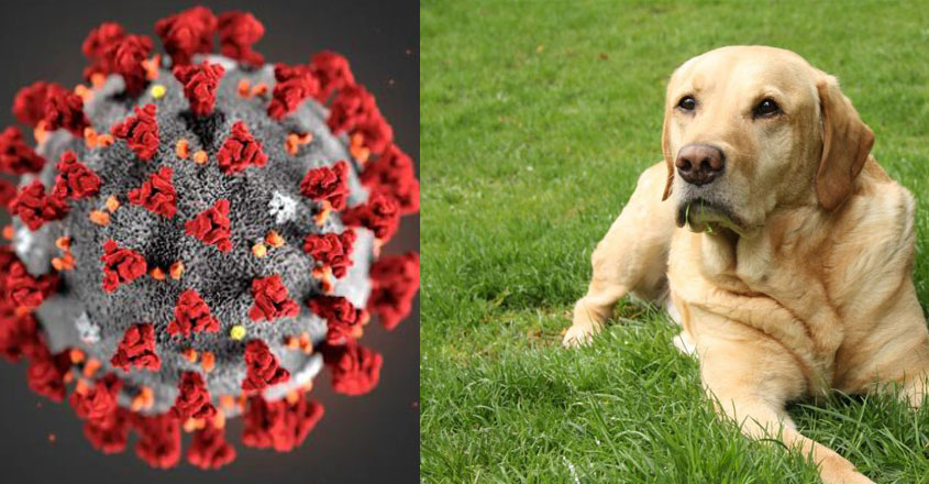 lab-17 lab-17