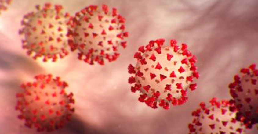 coronavirus-23 coronavirus-23