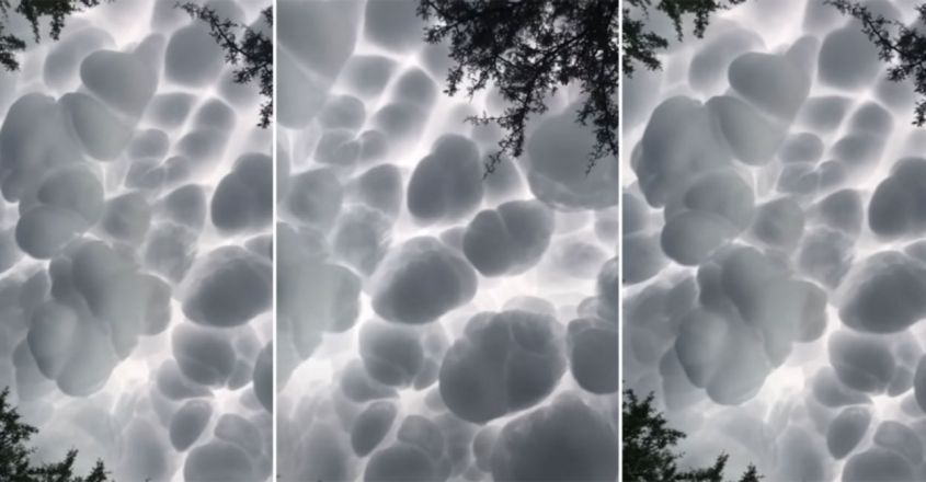 cloud cloud